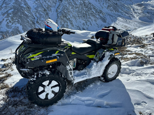 Электроквадроцикл ELIQ RM 650