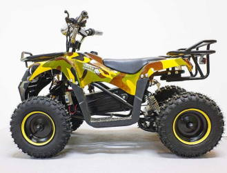 Квадроцикл GreenCamel Гоби K40 (36V 800W R6 Цепь)