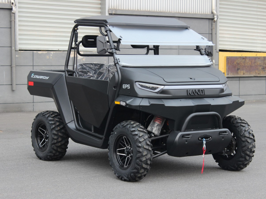 Багги UTV Kandi Cowboy